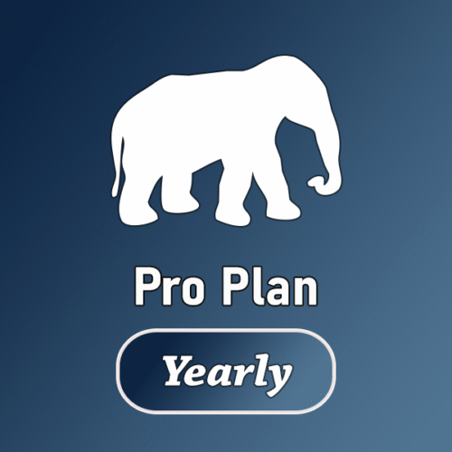 Pro Plan - Website ready in 7 – 12 business days