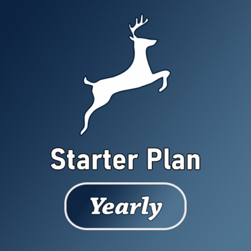 Starter Plan - Website ready in 6–9 business days