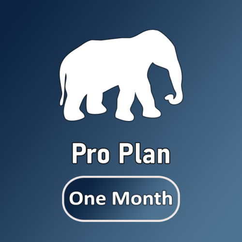 Pro Plan ( Website Design )