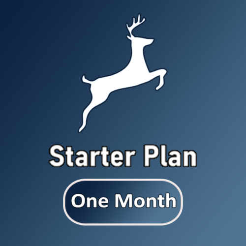 Starter Plan ( Website Design )
