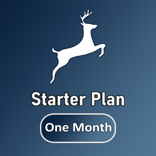 Starter Plan ( Website Design )